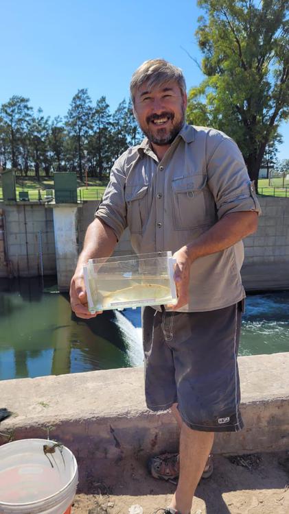 LOCALES Peces (2)