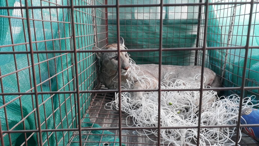 WhatsApp Image 2020-02-04 at 09.25.42