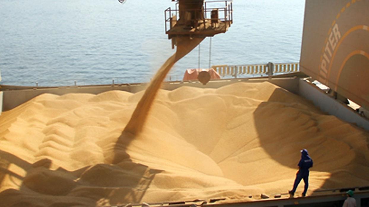 exportaciones-de-granos-67_crop1601306230361