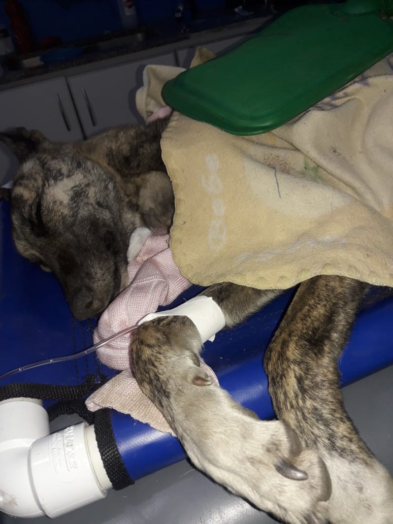 7f1cdaf6-4507-4c3e-9e5b-5ddf70649073