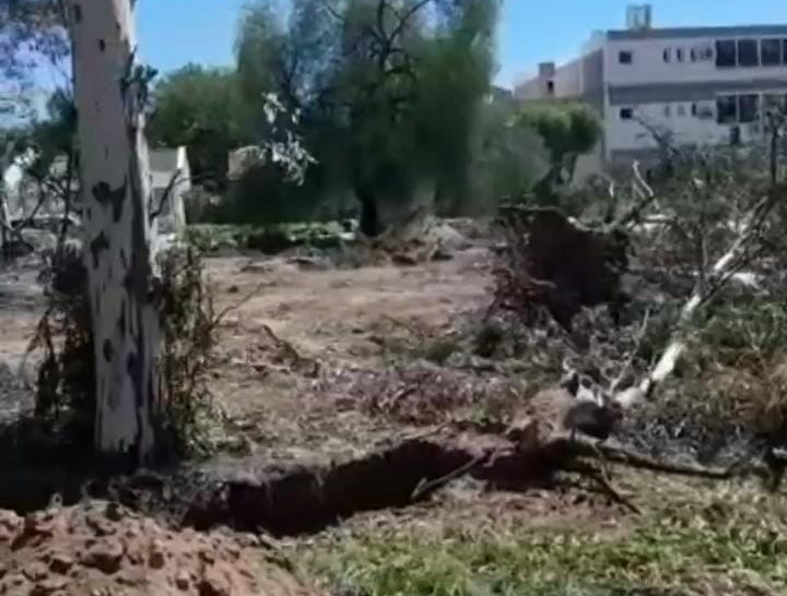 Tala