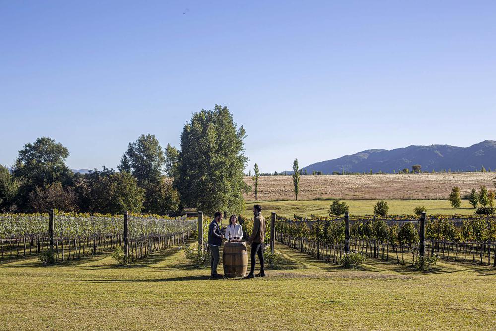 Camino-del-Vino-1