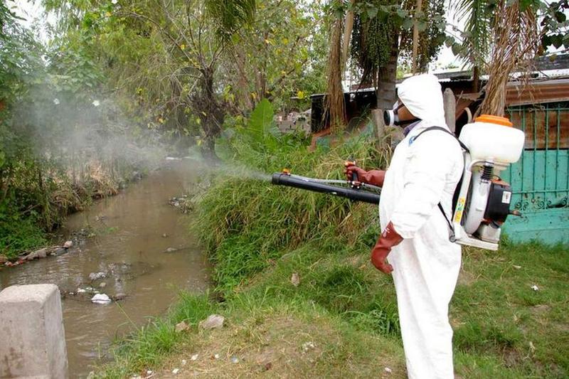 dengue