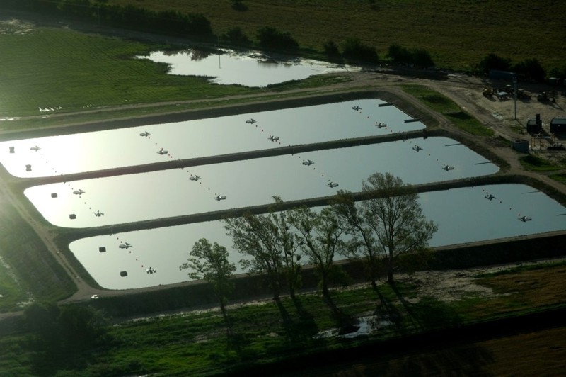 REGIONALES - Cloacas