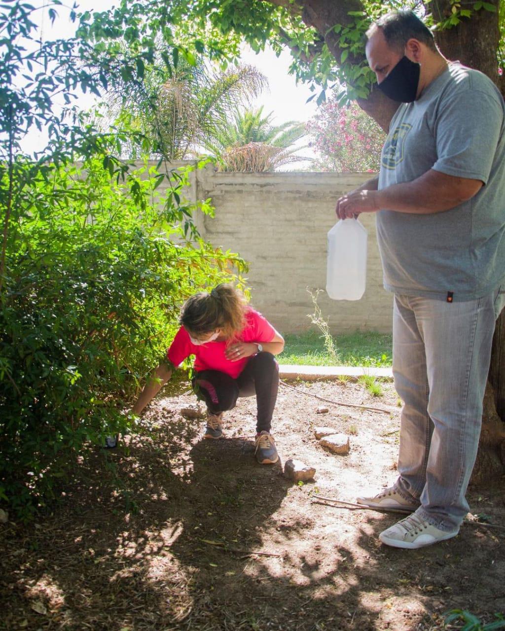 REGIONALES - Dengue2