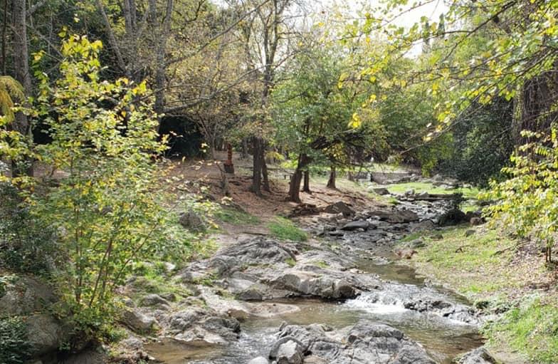 REGIONALES - Calamuchita4