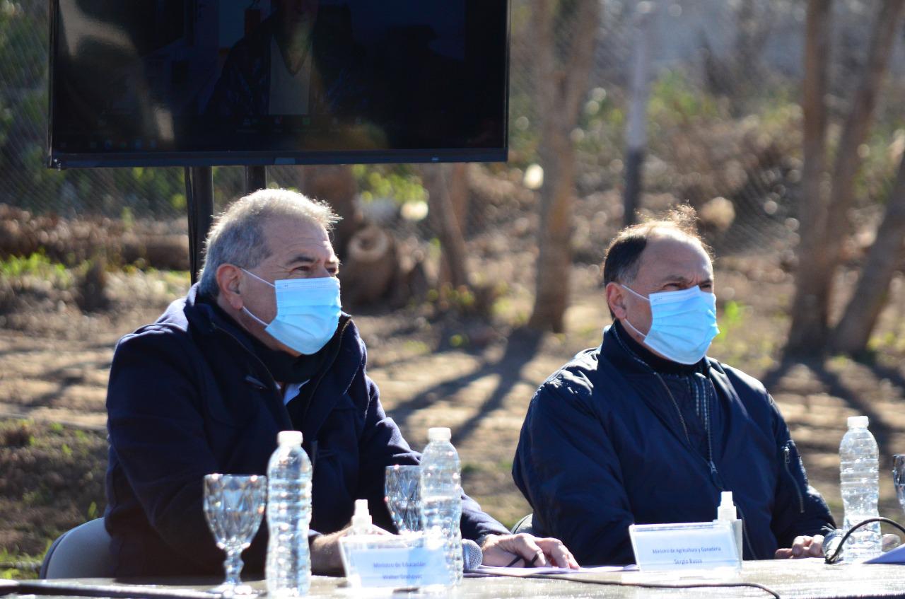 WhatsApp Image 2021-06-28 at 17.14.11