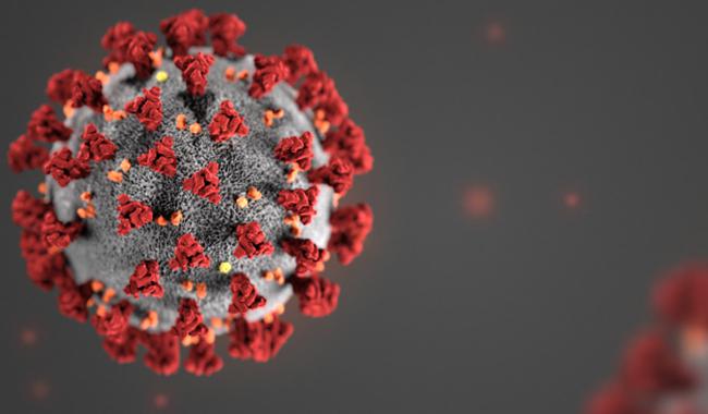 coronavirus_650px