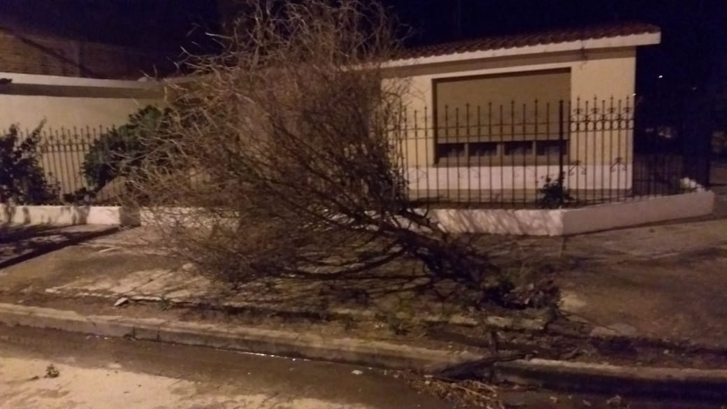 cca36eca-2f21-4732-a818-6dfda4b559e0