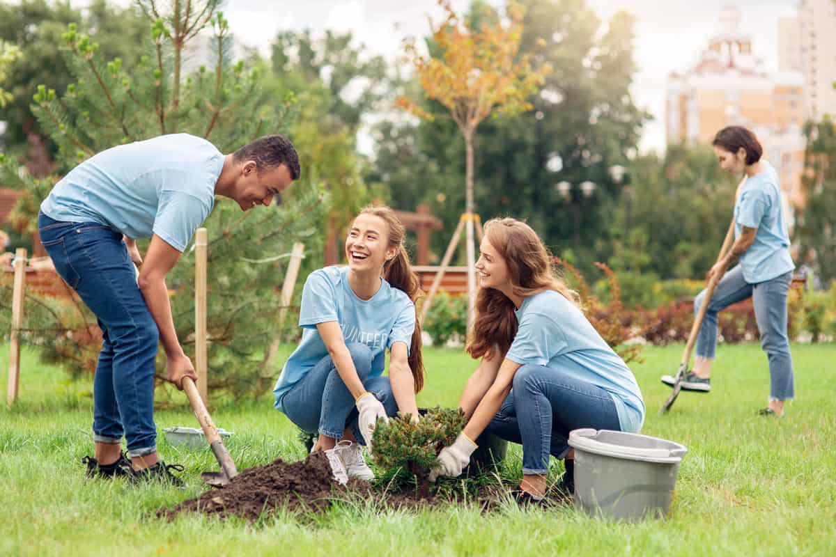 actividad-para-empresas-reforestacion