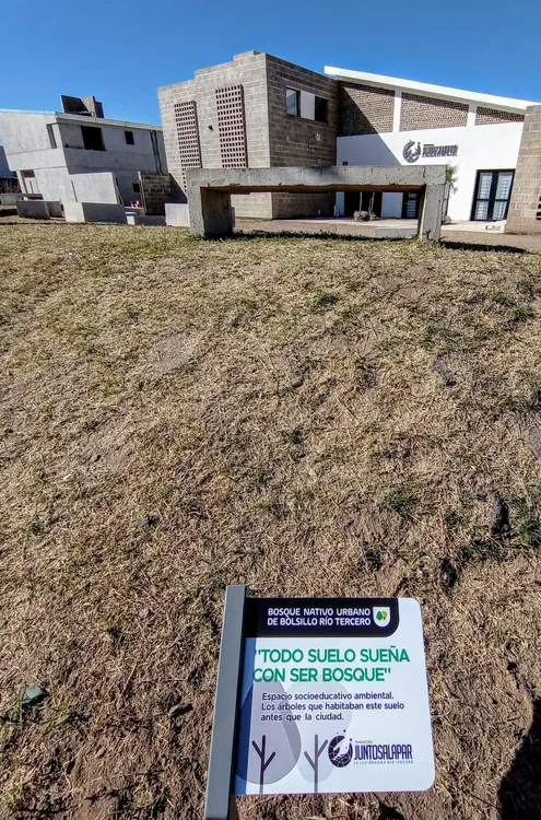 BOSQUE DE BOLSILLO 3