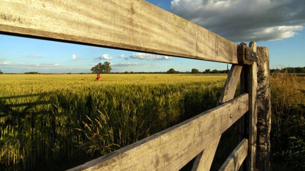 AGRO-LA NIÑA