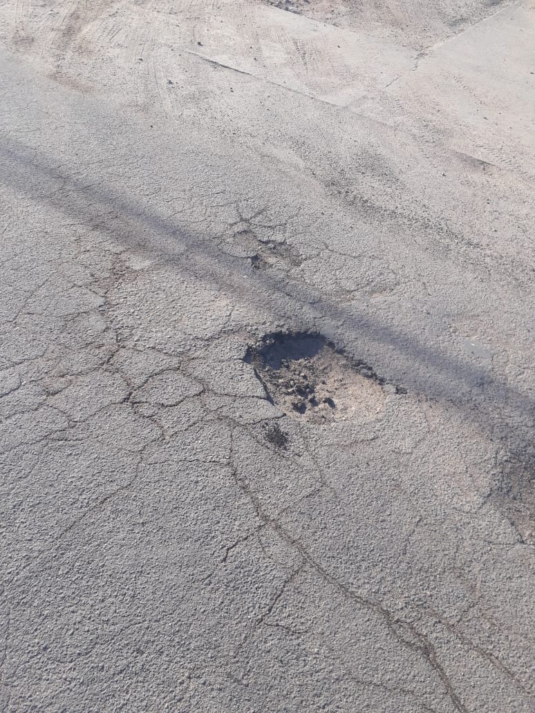BACHE 1