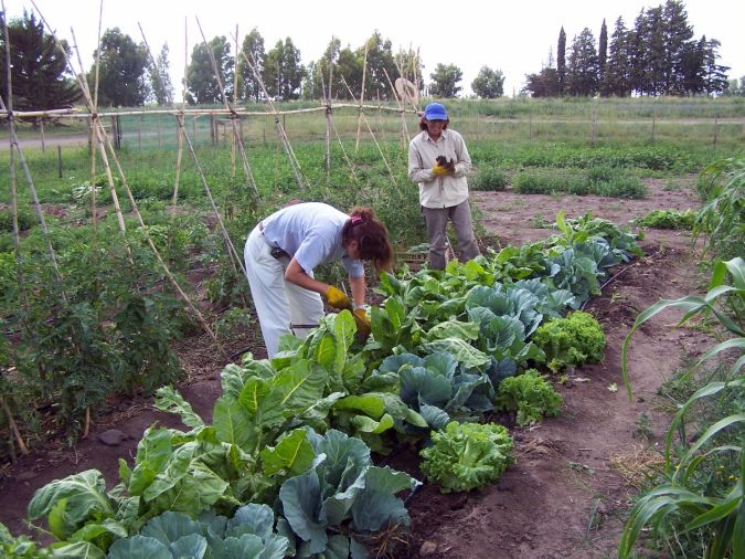 Agricultores-Familiares