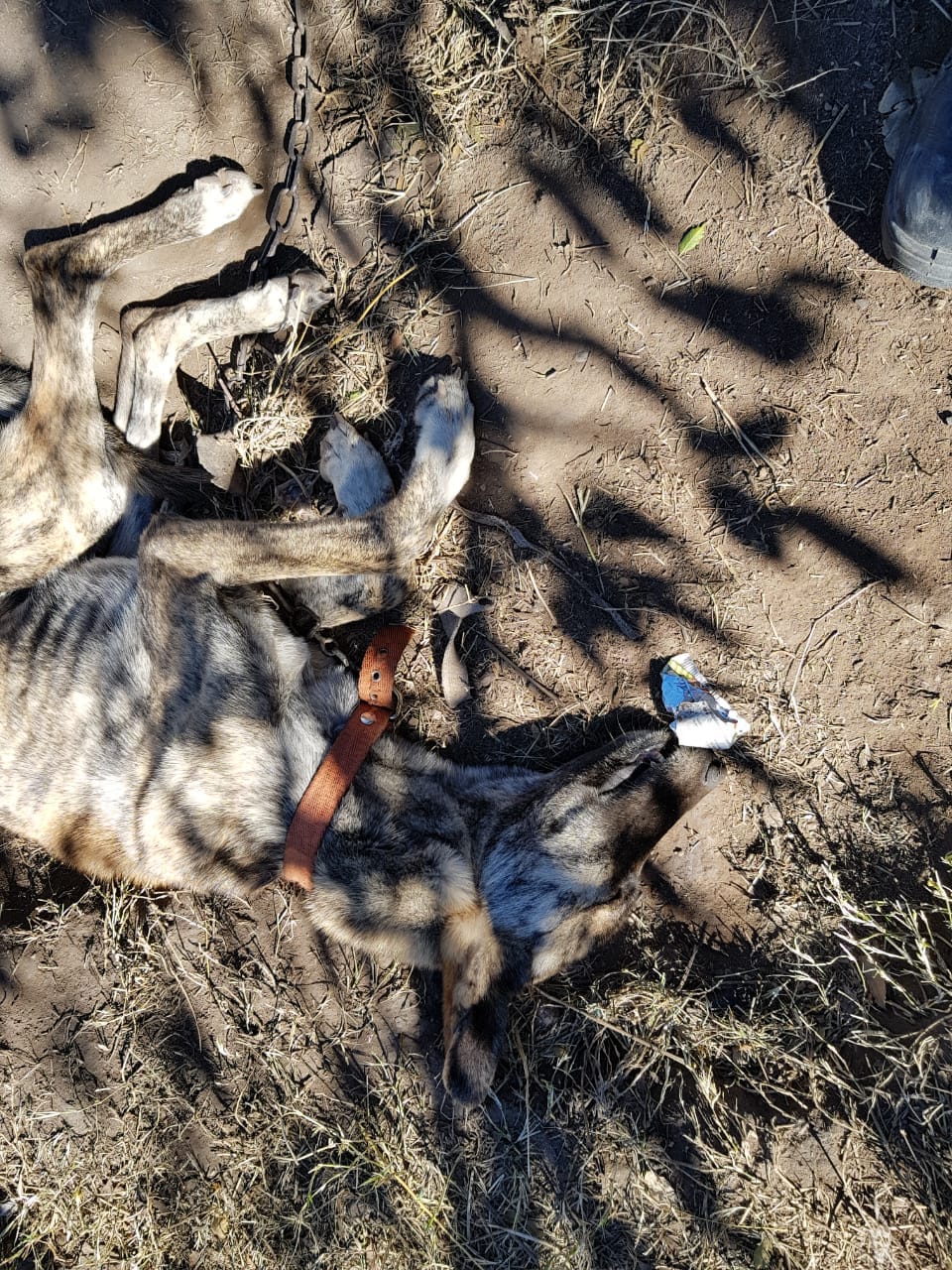 93d1f9c7-478a-42f6-b7e6-aaa8b6d7269b