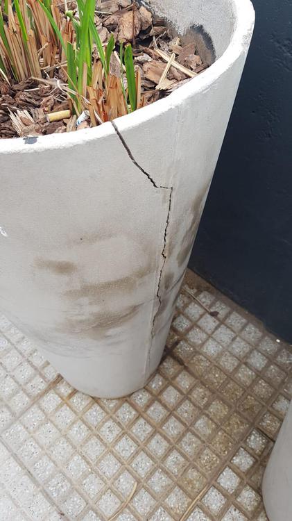 5592c1ef-b6ab-4509-9f37-e70bf5d60b11