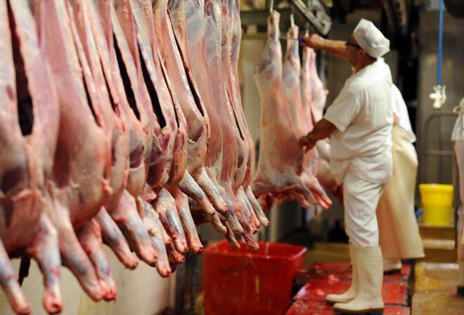 Industria-carnica_1435666438_456986_660x449