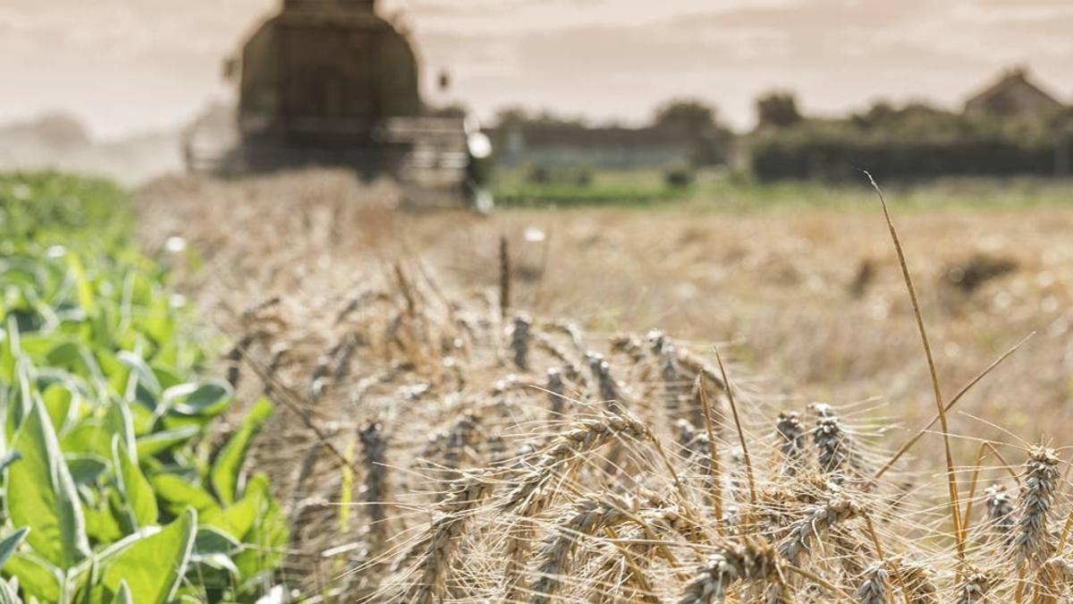 AGRO