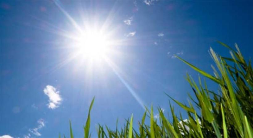 sol
