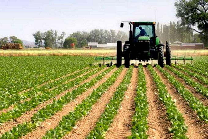 campo-trabajo