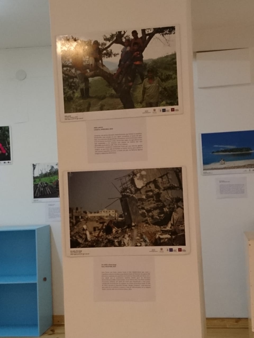 Serena Frenguelli Original