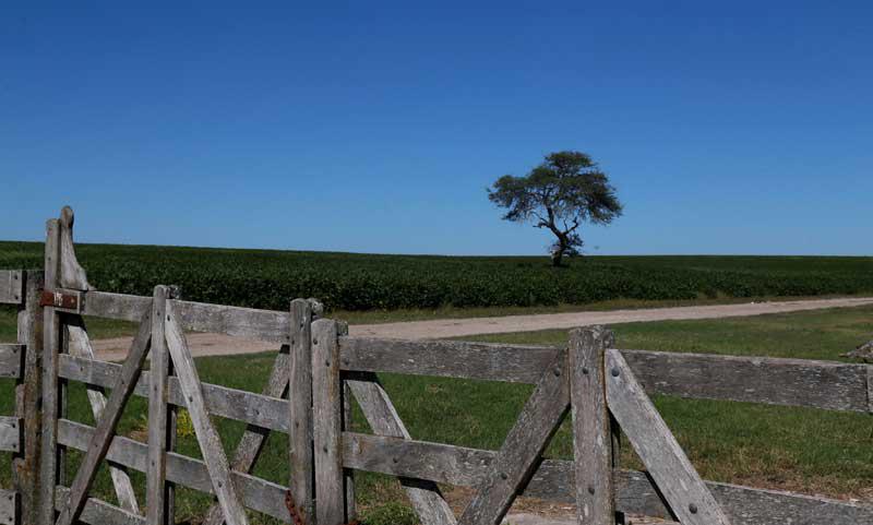 04-Campo-Archivo-CyJ