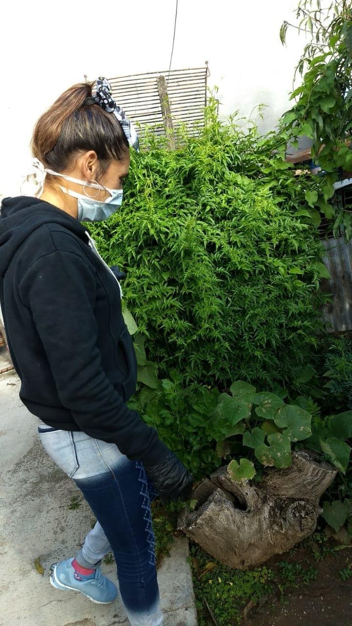 WhatsApp Image 2020-03-18 at 11.19.18