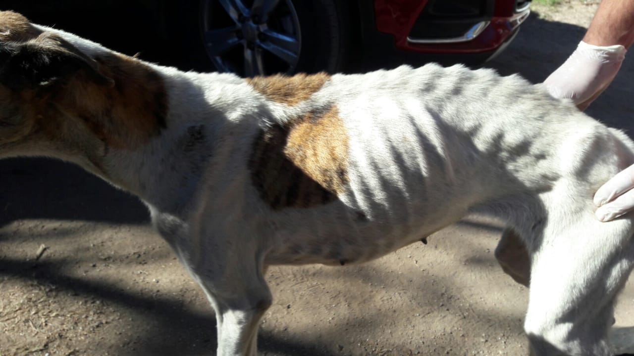 63d34282-13e1-47ce-aec5-2418fbd8230a