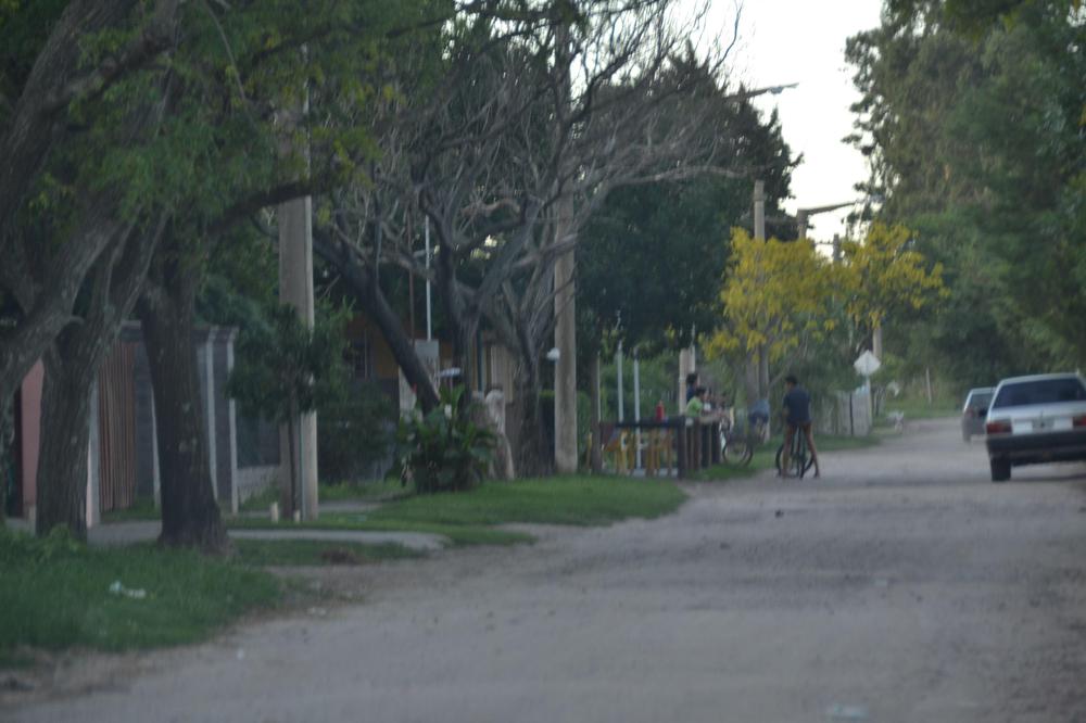 arboles