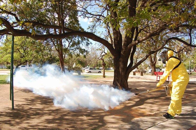 dengue