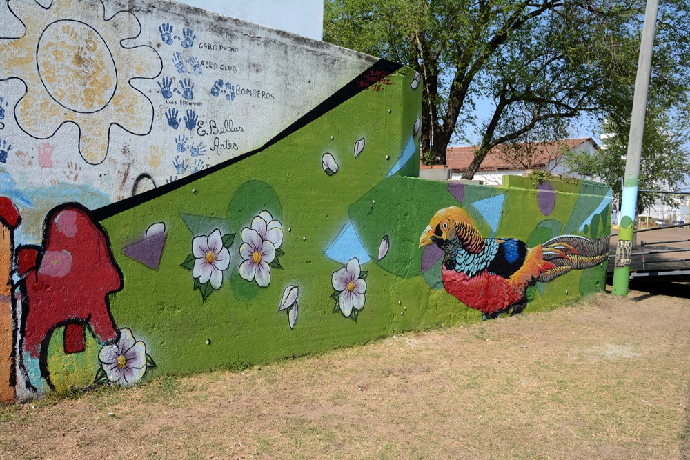 WhatsApp Image 2018-09-10 at 22.50.52