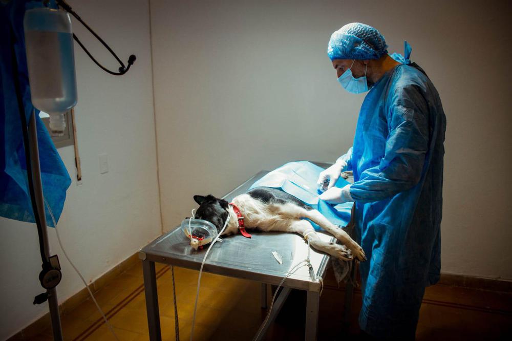 ea4be45e-9d97-4cd4-9202-74b568c9c92b