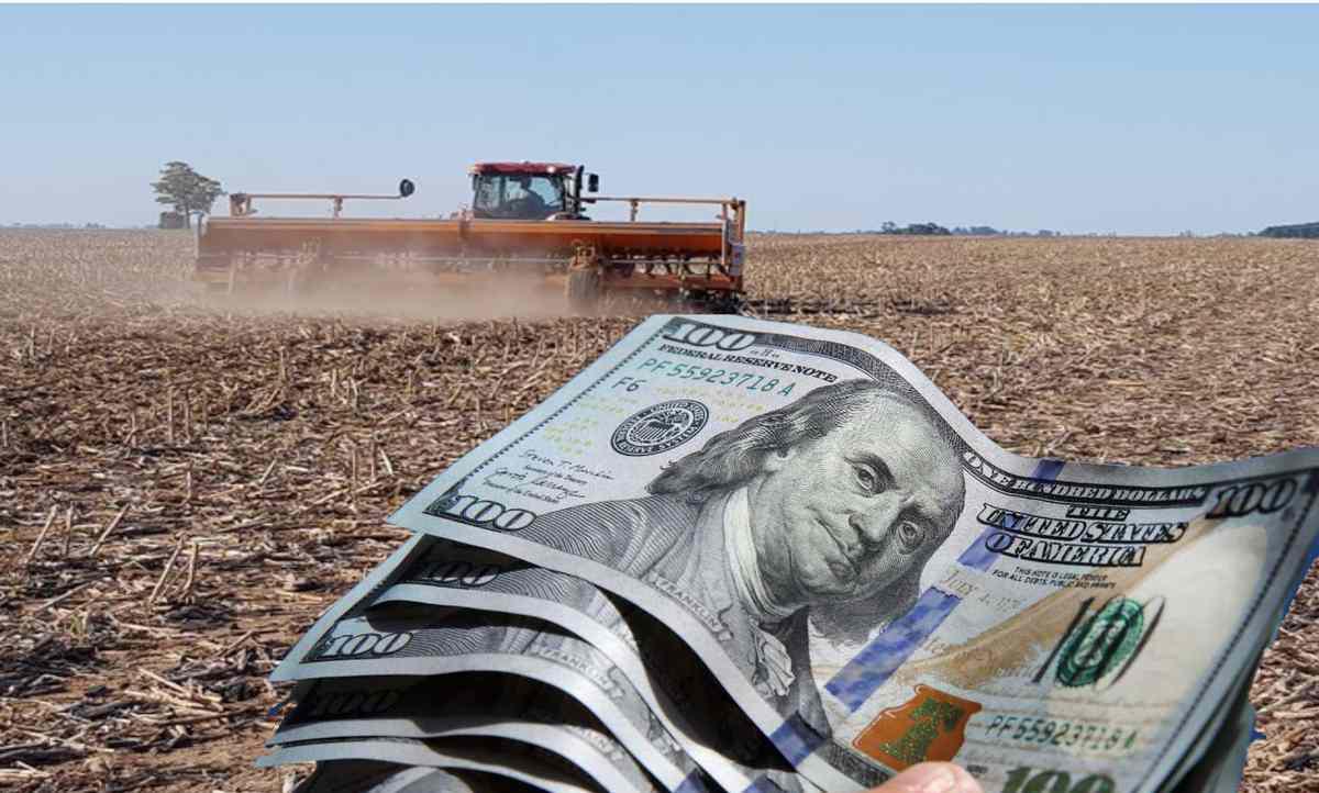 AGRO Divisas