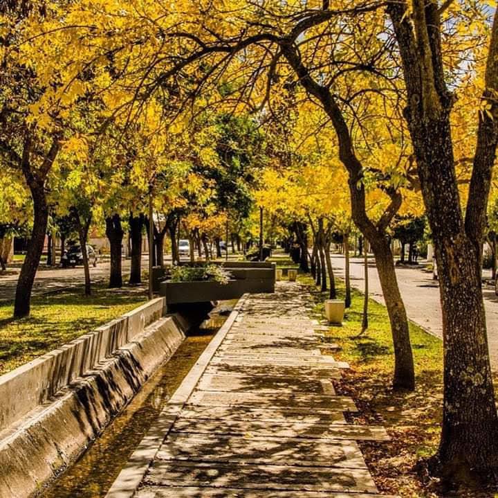 REGIONALES - Almafuerte3