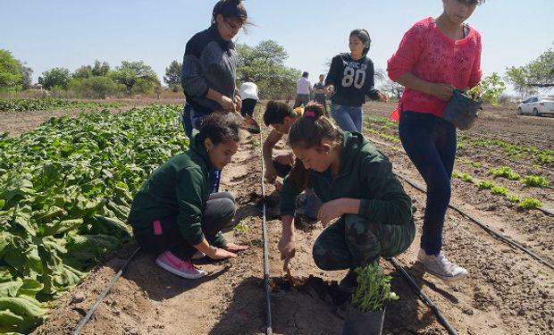 escuelagro2