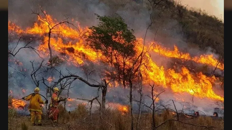 INCENDIO
