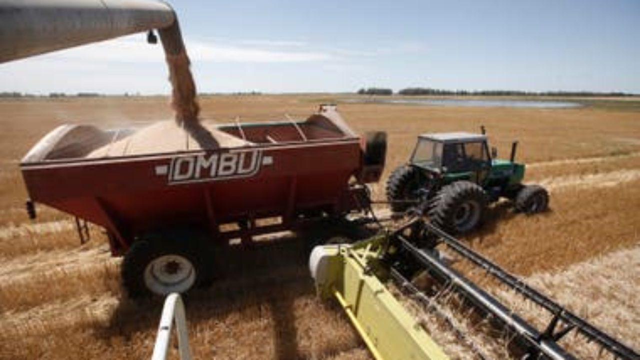 campo