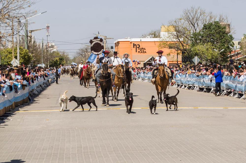 REGIONALES - Aniversario