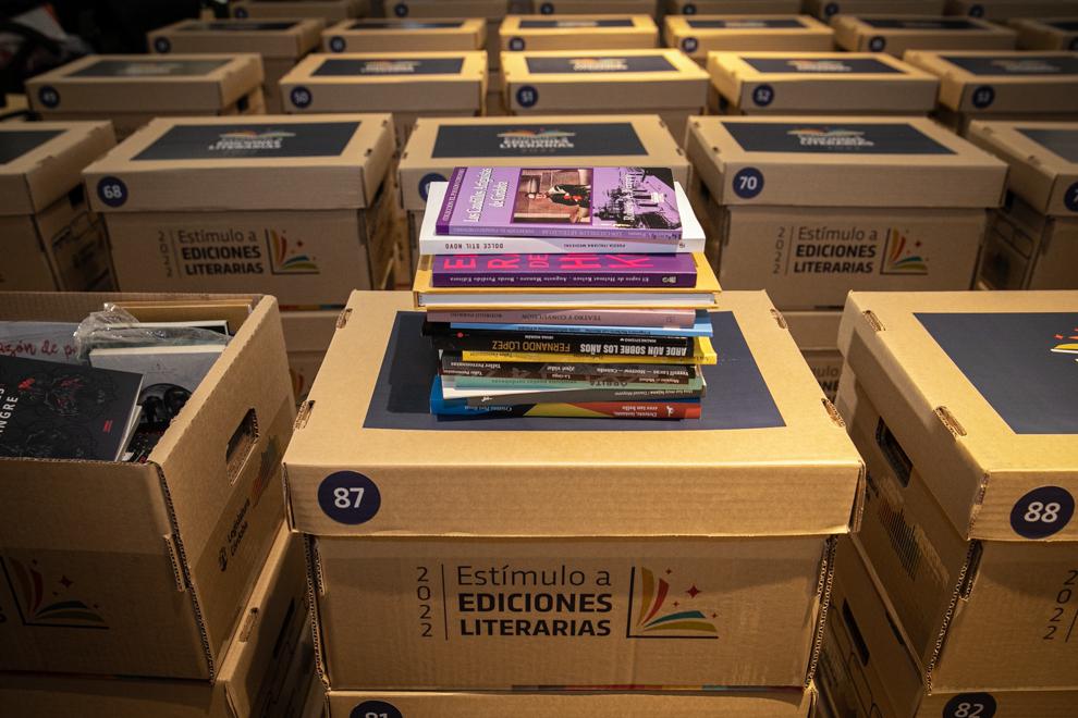 Armado-de-cajas-con-libros-en-el-marco-del-Prog.-Ediciones-Literarias-0901