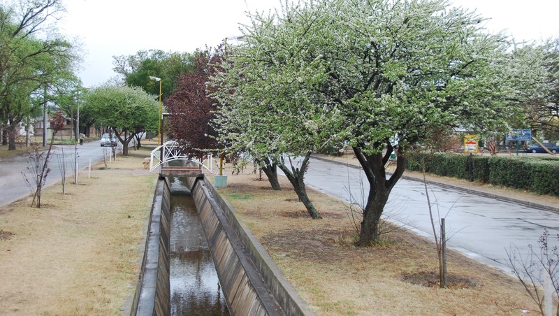 REGIONALES - Almafuerte