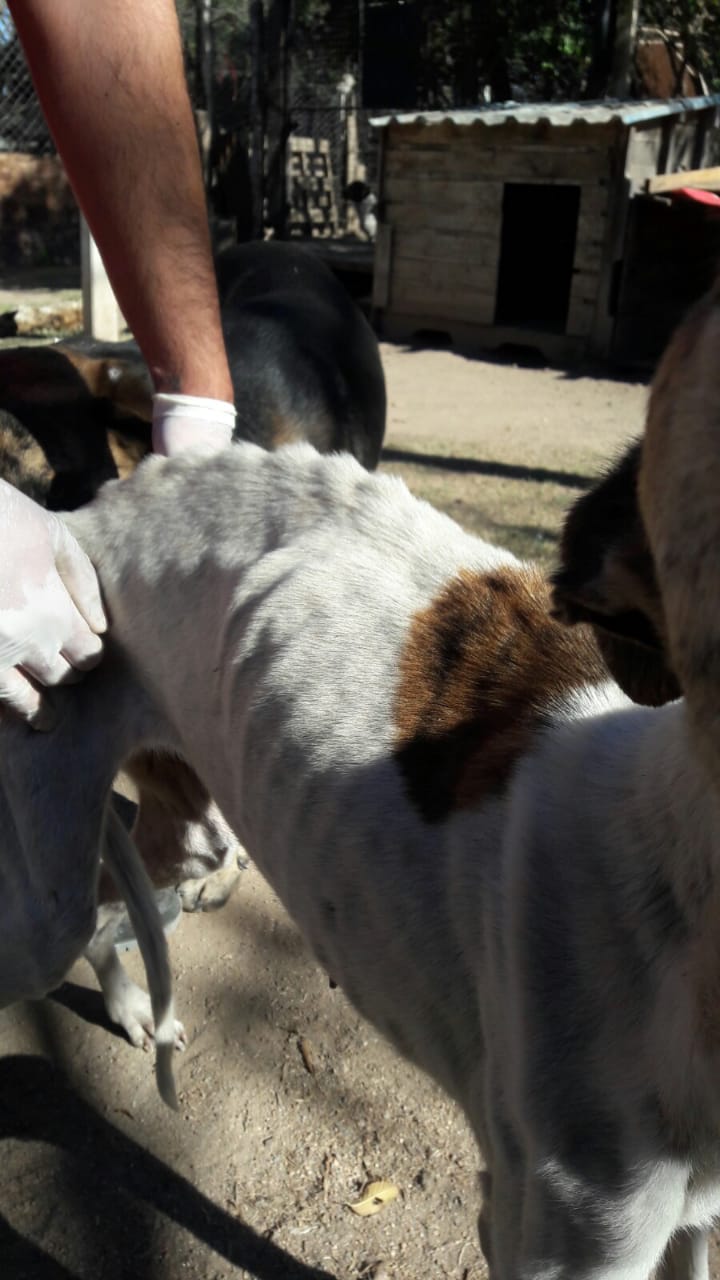 e4c60563-63b8-422c-94fe-2fb3f98d6b52