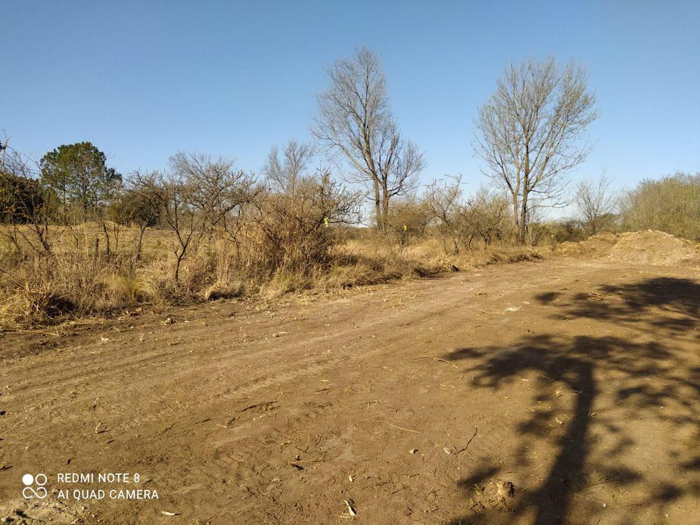 Lote