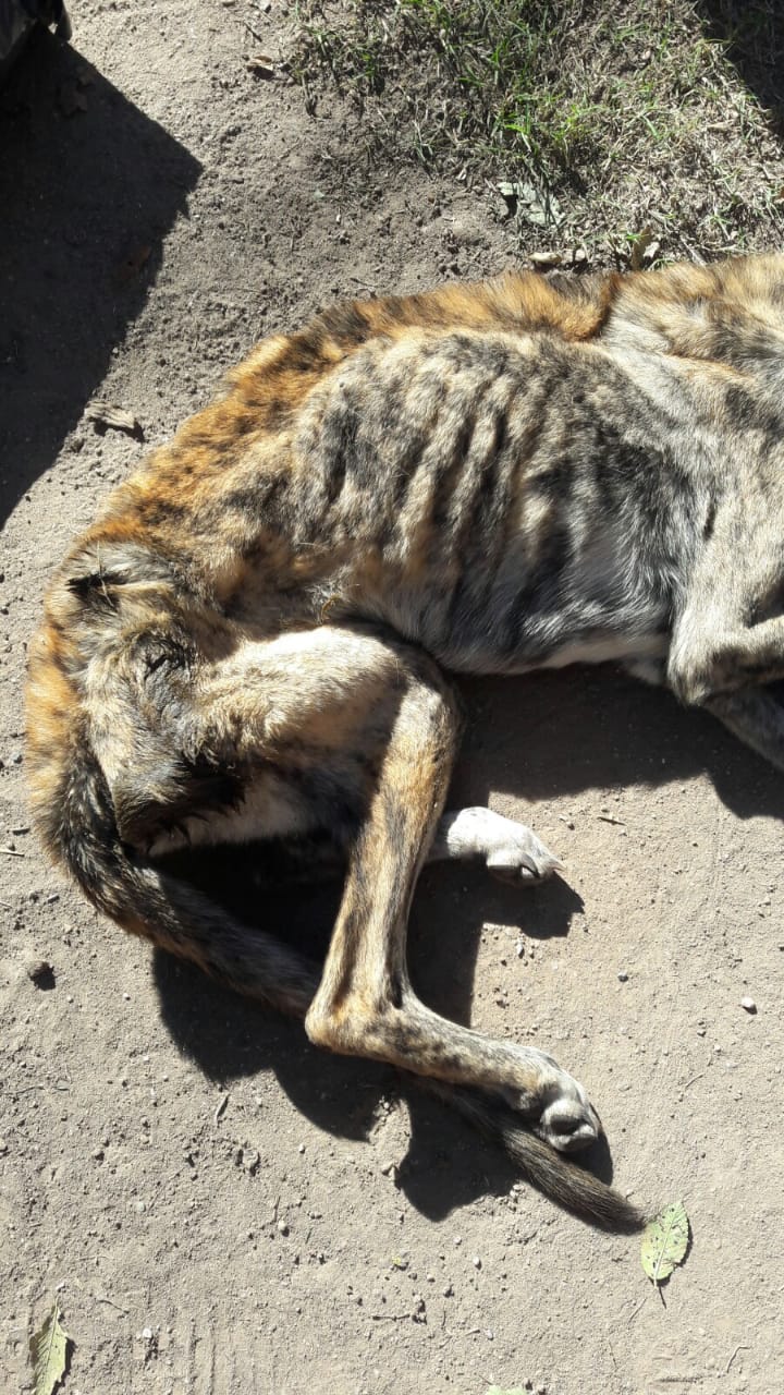 2d2a60e0-487b-4b7d-b8c4-e9e027a21363