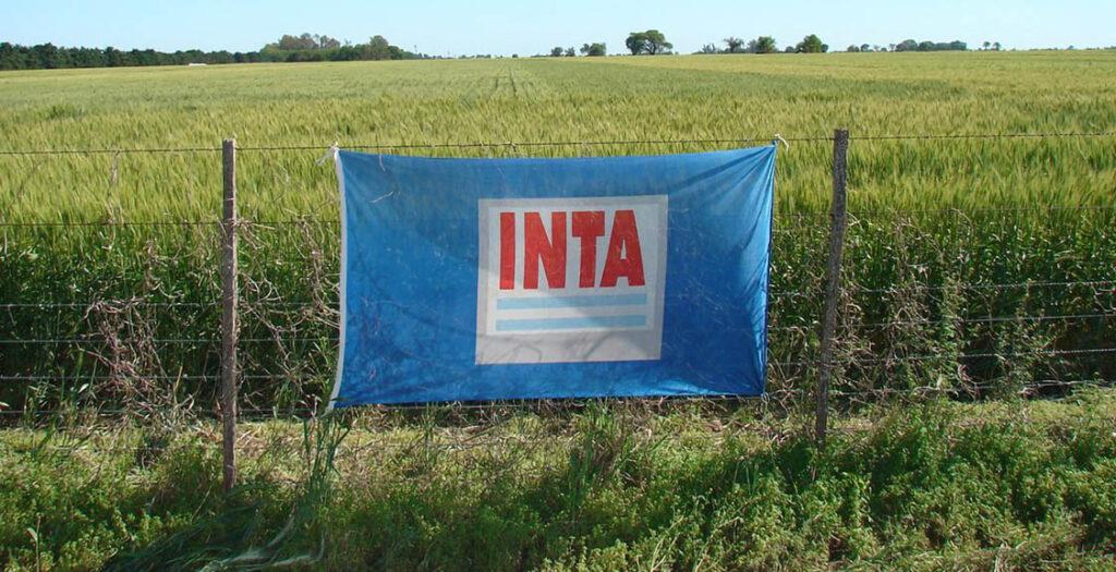 inta-campo-1024x525