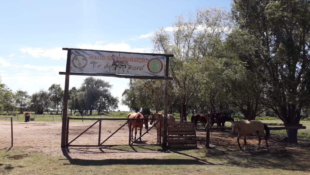 REGIONALES Tradicion