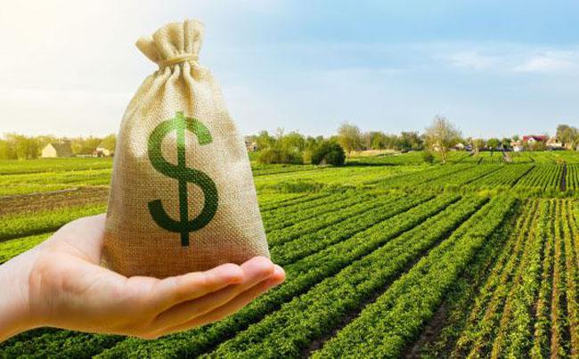 NOTA MARTINA AGRO