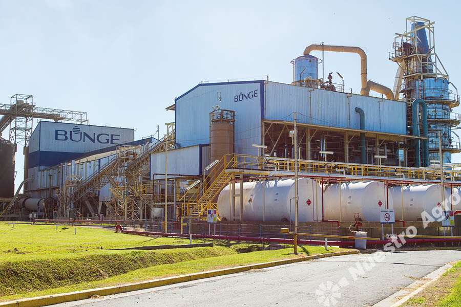 Bunge