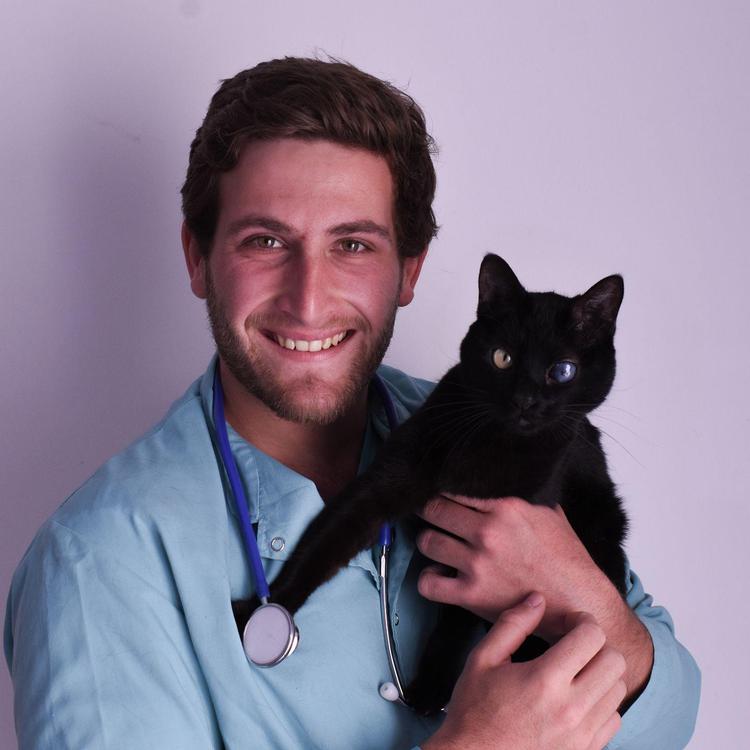 TAPA Veterinario