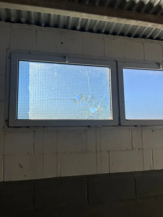 VANDALISMO