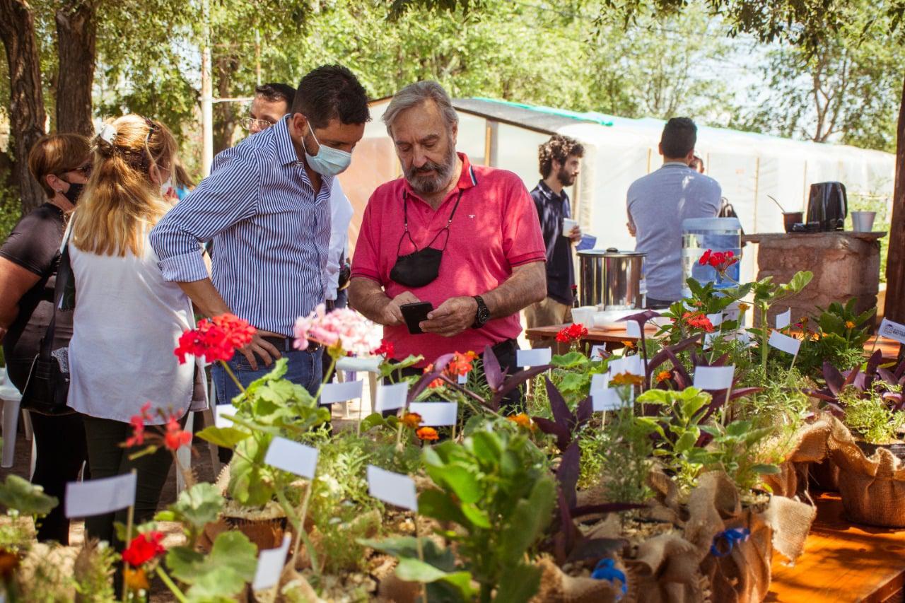 TAPA Vivero 1